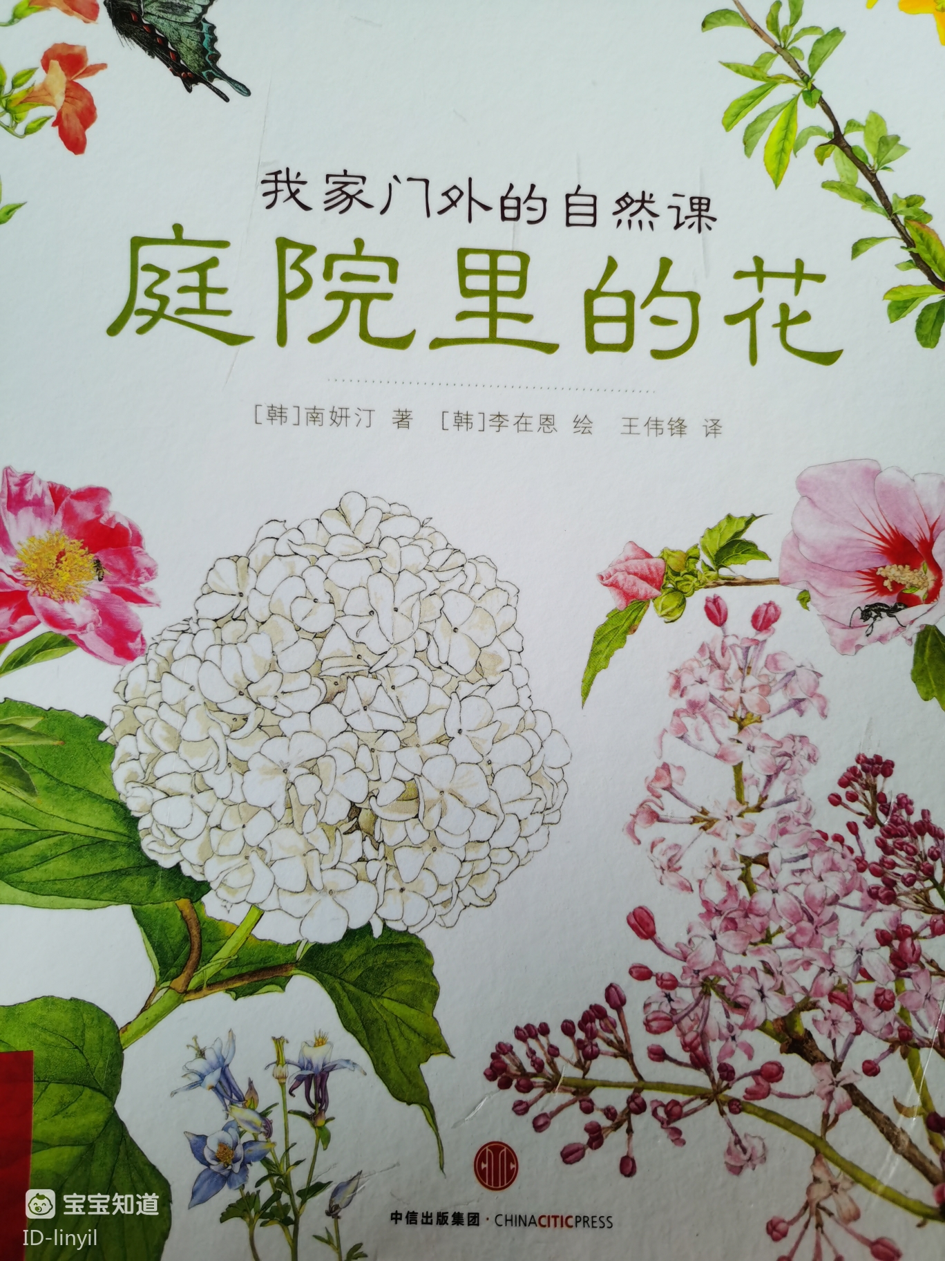 天天读绘本之庭院里的花认识从春天发哦冬天的周期