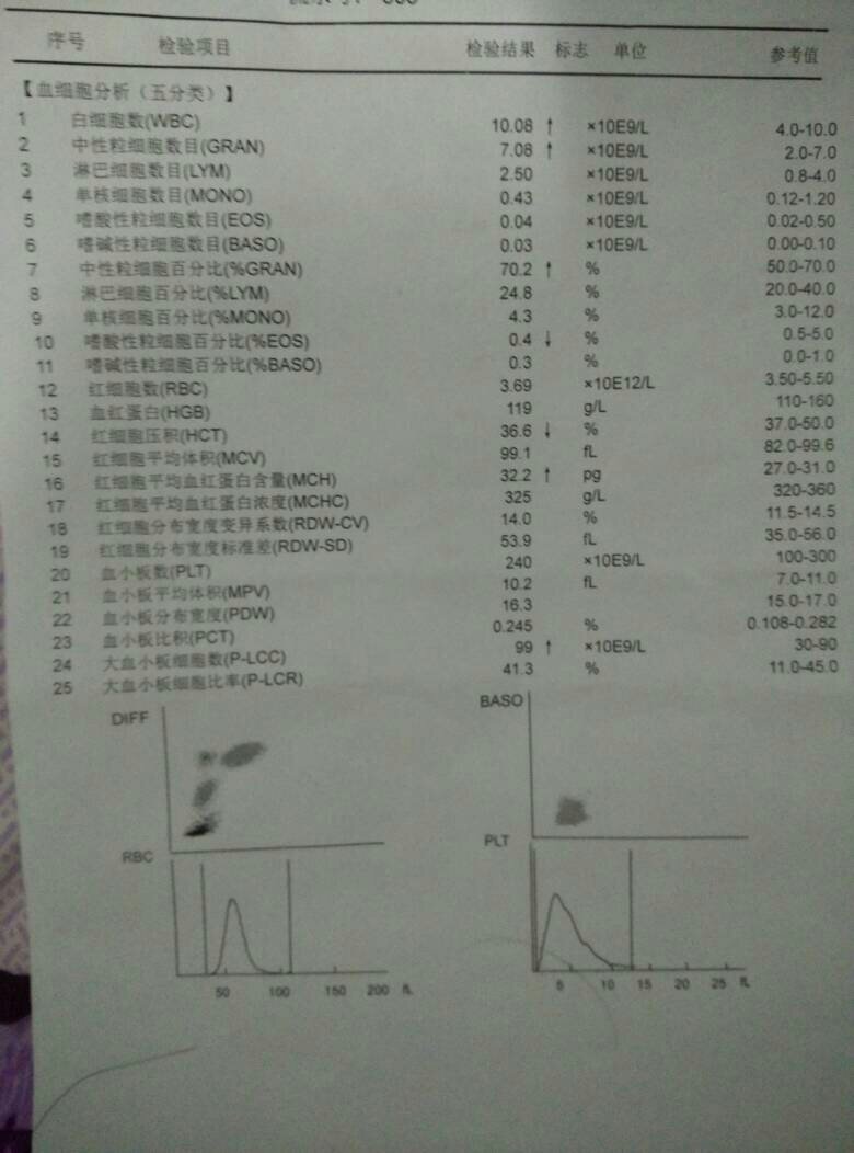 怀孕两个多月了,准备做人流手术,但是验血的时候,查出来白细胞比正常