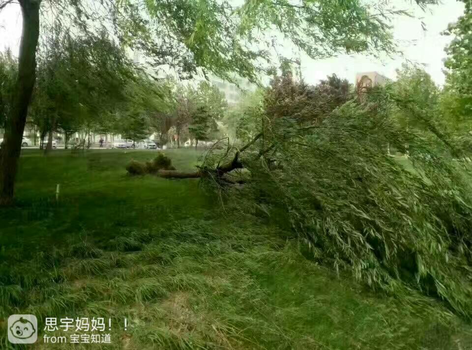 大风天尽量减少出门