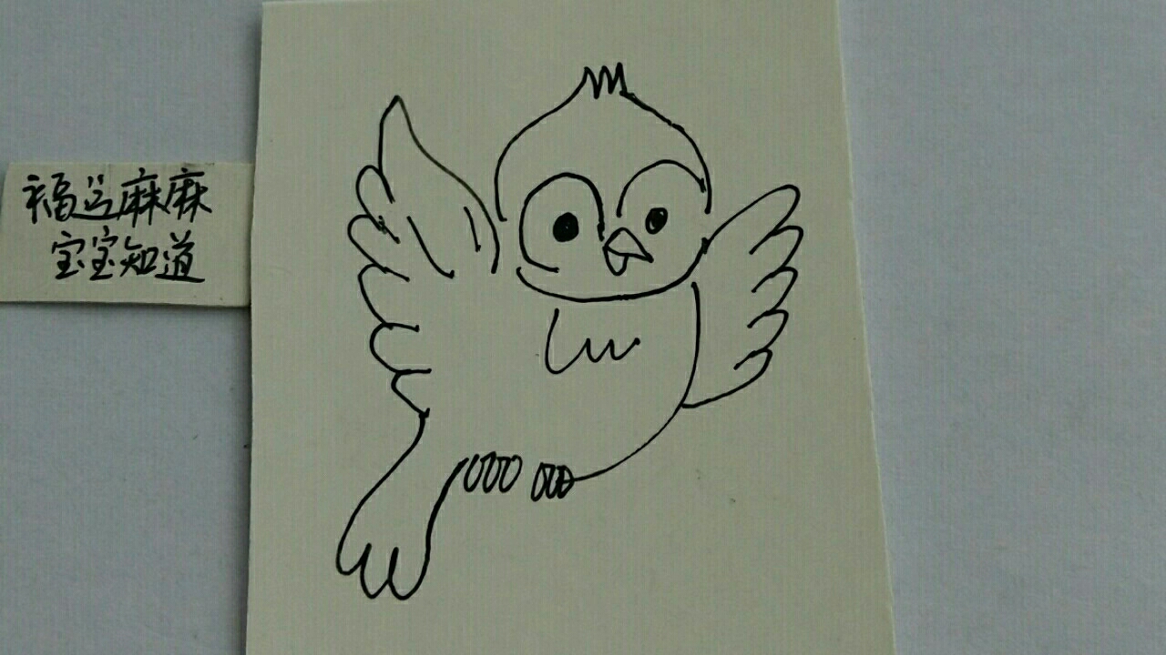 [绘画比拼]一只可爱的小鸟