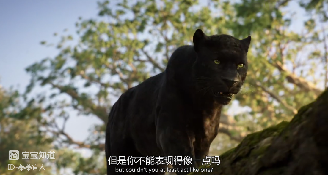 精浅析奇幻森林黑豹的蜕变演绎人类家庭教育的雷区和秘诀