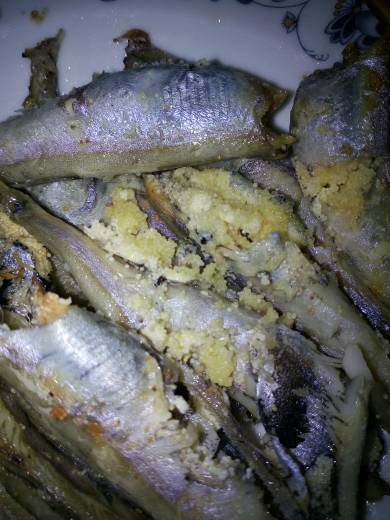 谁能帮忙看看这个鱼里面像小米粒一样的是不是寄生虫之类的呀?