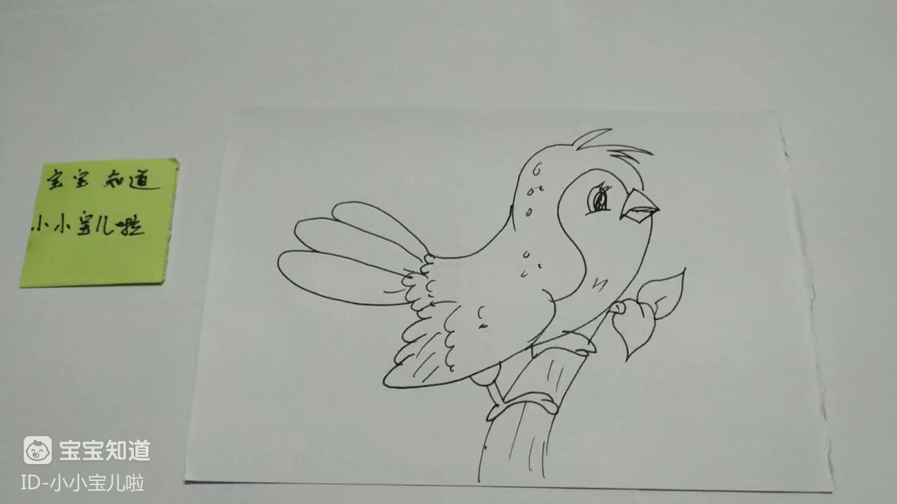 [画画秀]站在树枝上的鸟