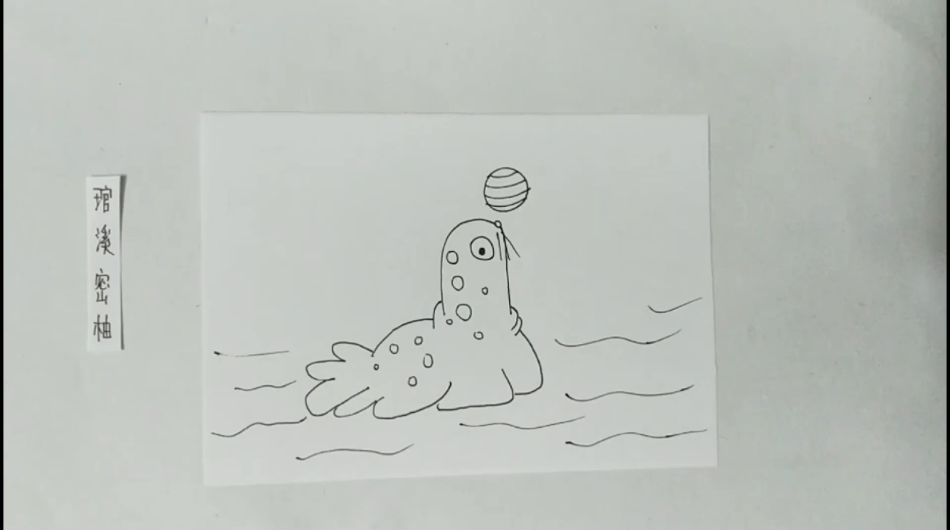 海豹顶球简笔画图片