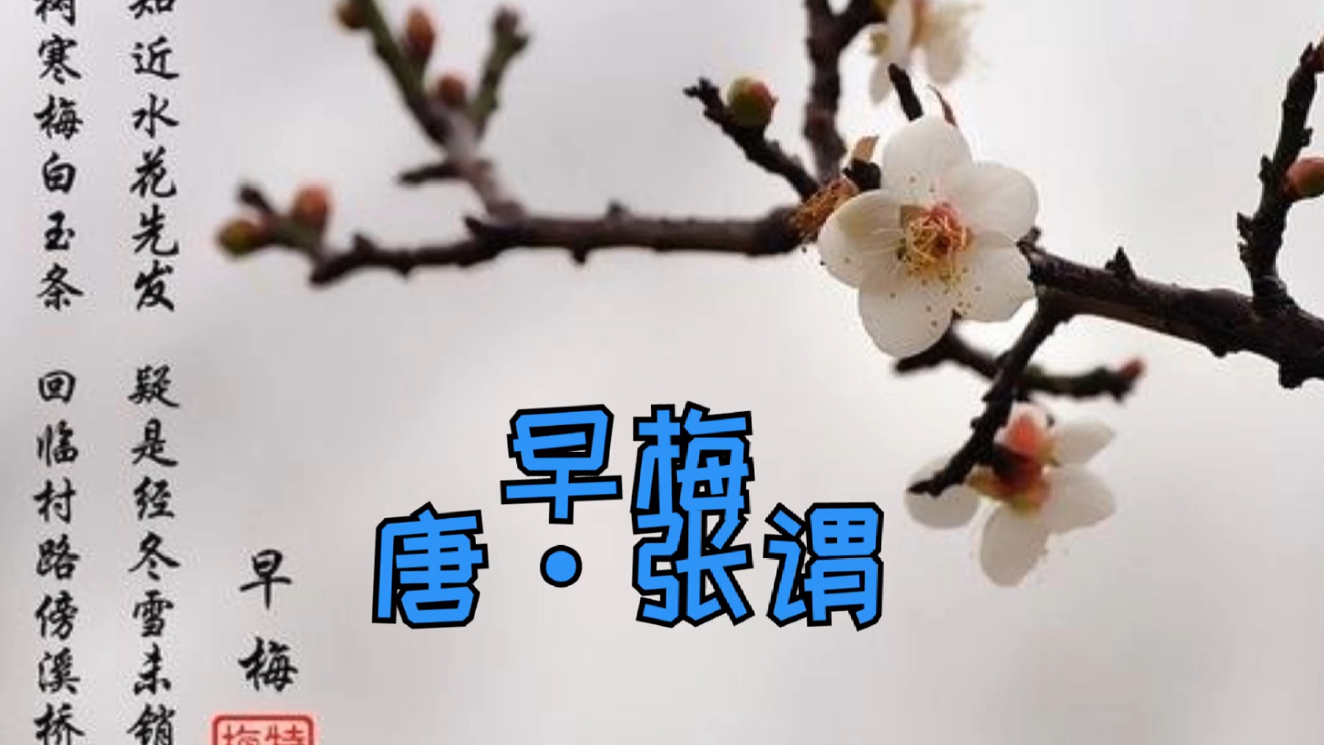 妈妈唱古诗,唐·张谓《早梅》不知近水花先发,疑是今冬雪未销