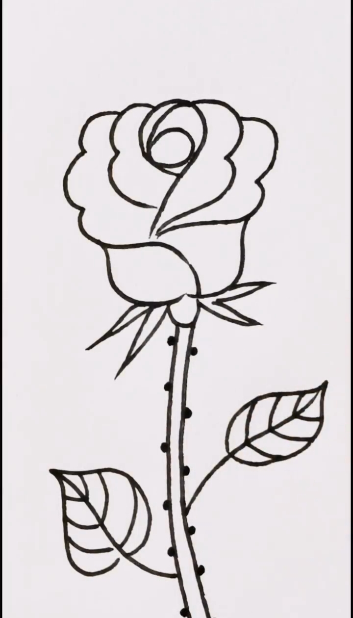 简笔画,画一朵好看的玫瑰花