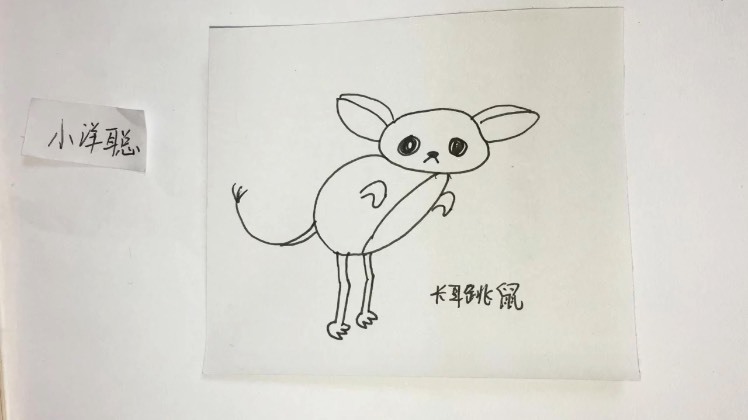 精 简笔画:一只敏捷的长耳跳鼠