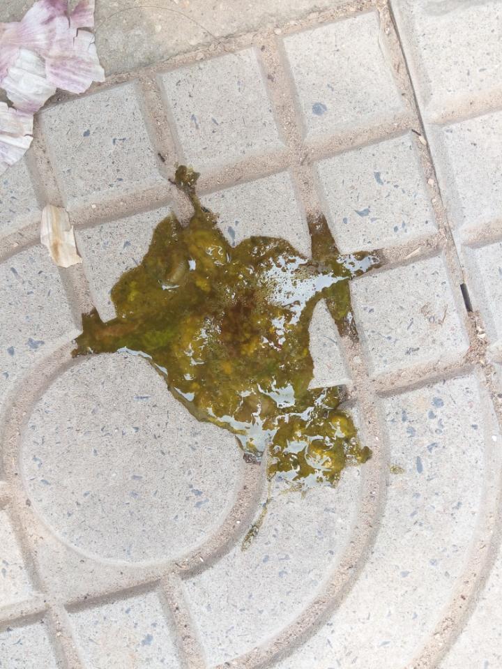 宝宝有点拉肚子,三四天了,一天3~4次,有点稀,墨