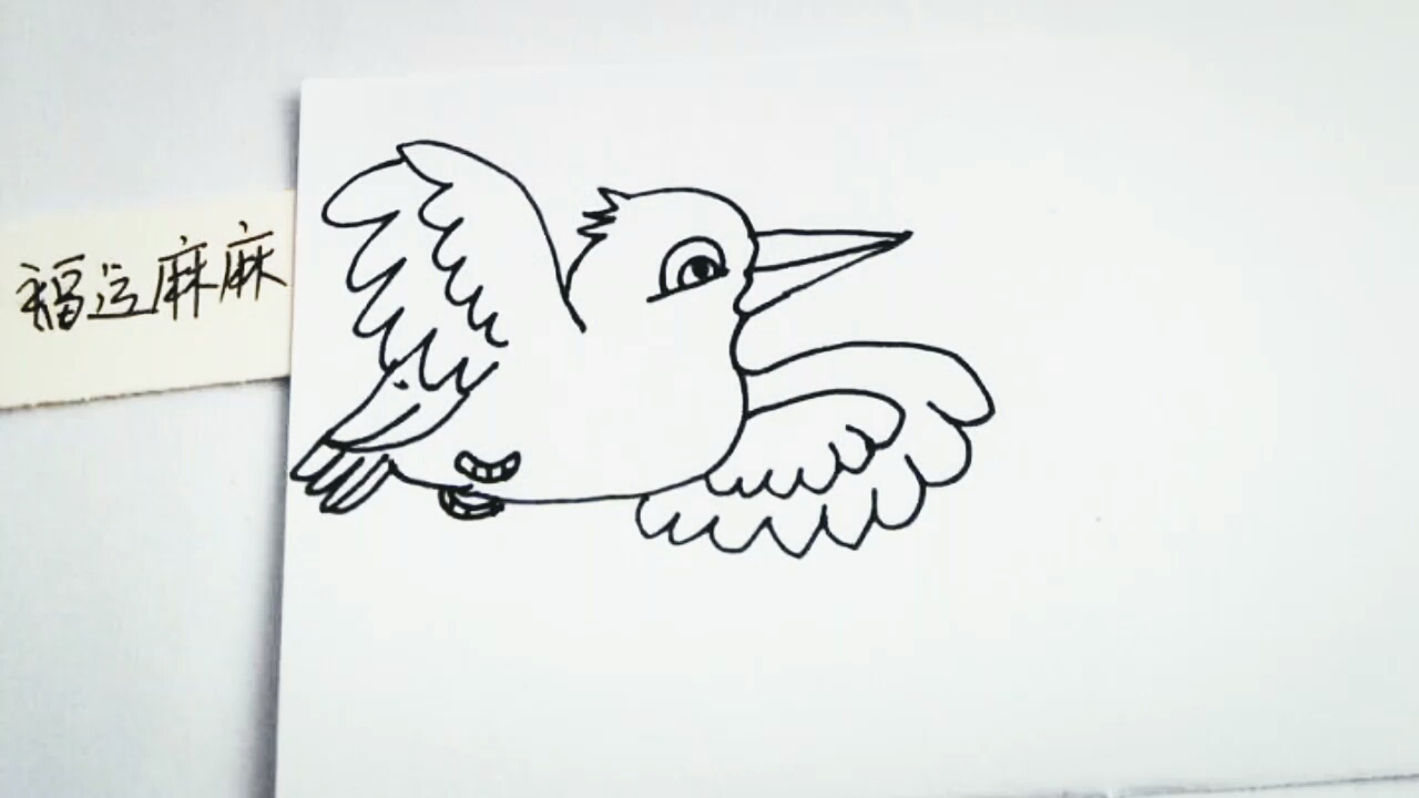 精 简笔画~张开翅膀正在飞行的小鸟