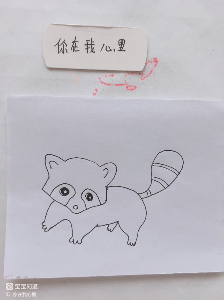 简笔画:东张西望的小浣熊