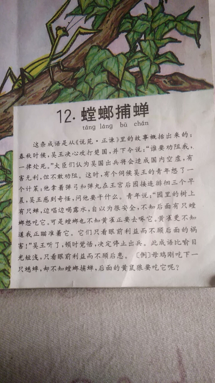 精 [朗读打卡]成语故事《螳螂捕蝉》