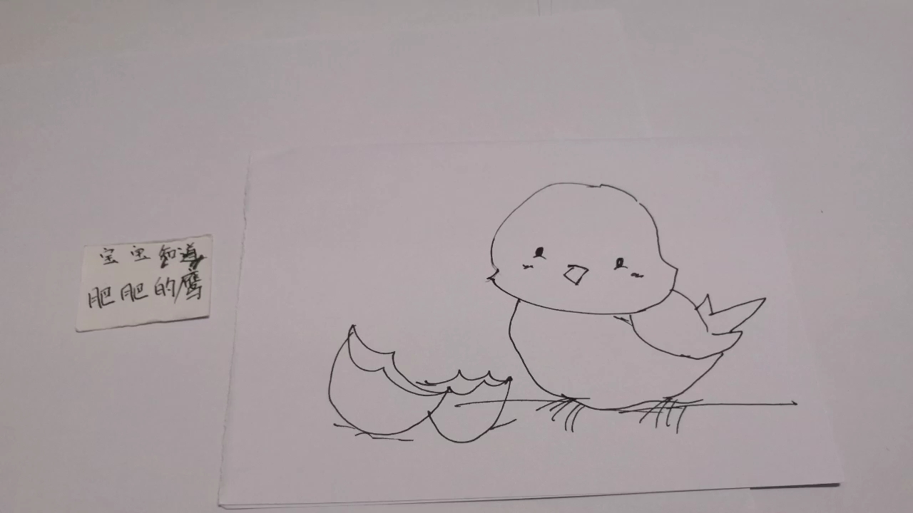 小鸟出壳卡通图片图片