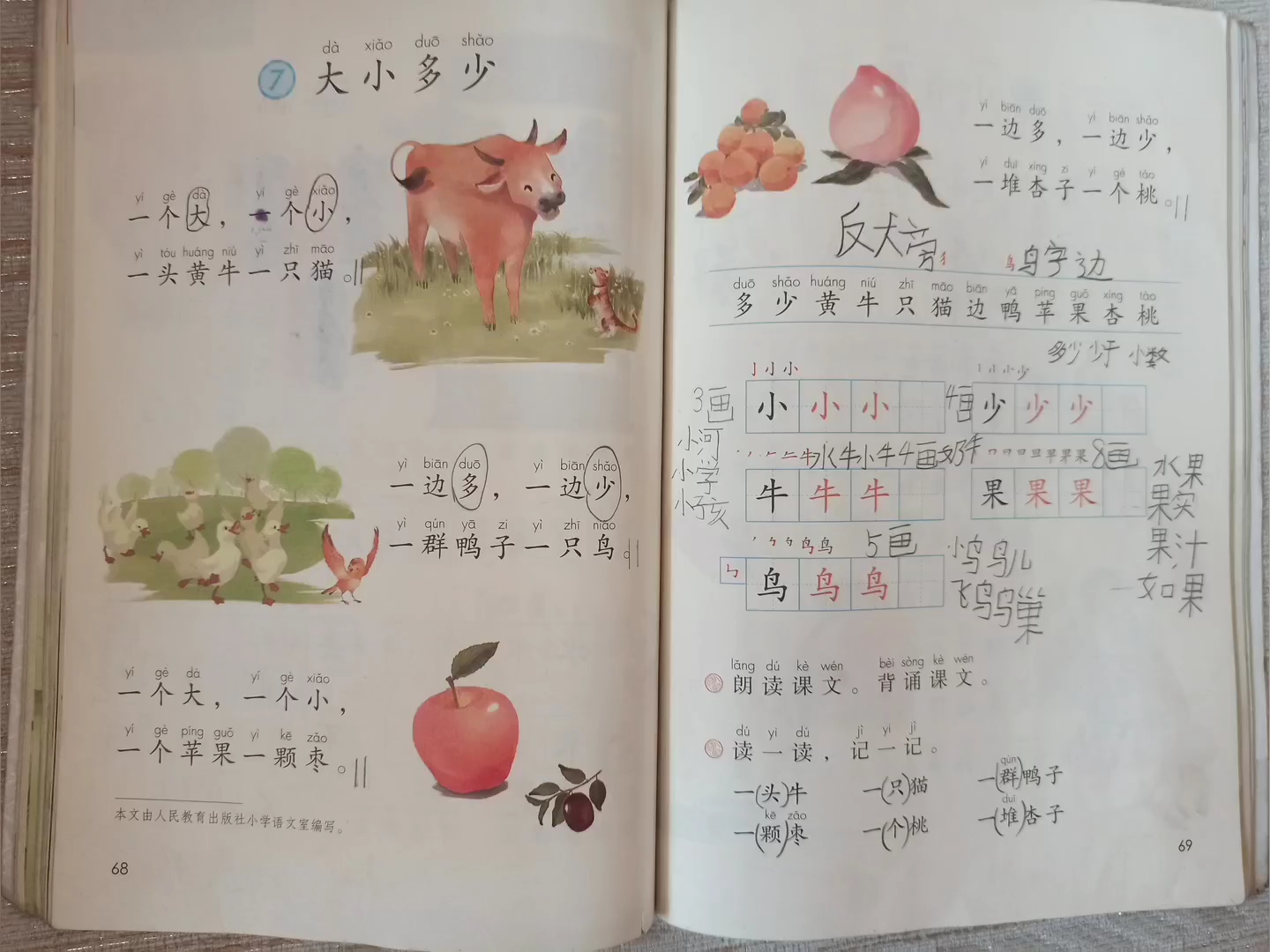 [朗读打卡]宝贝读儿歌《大小多少》