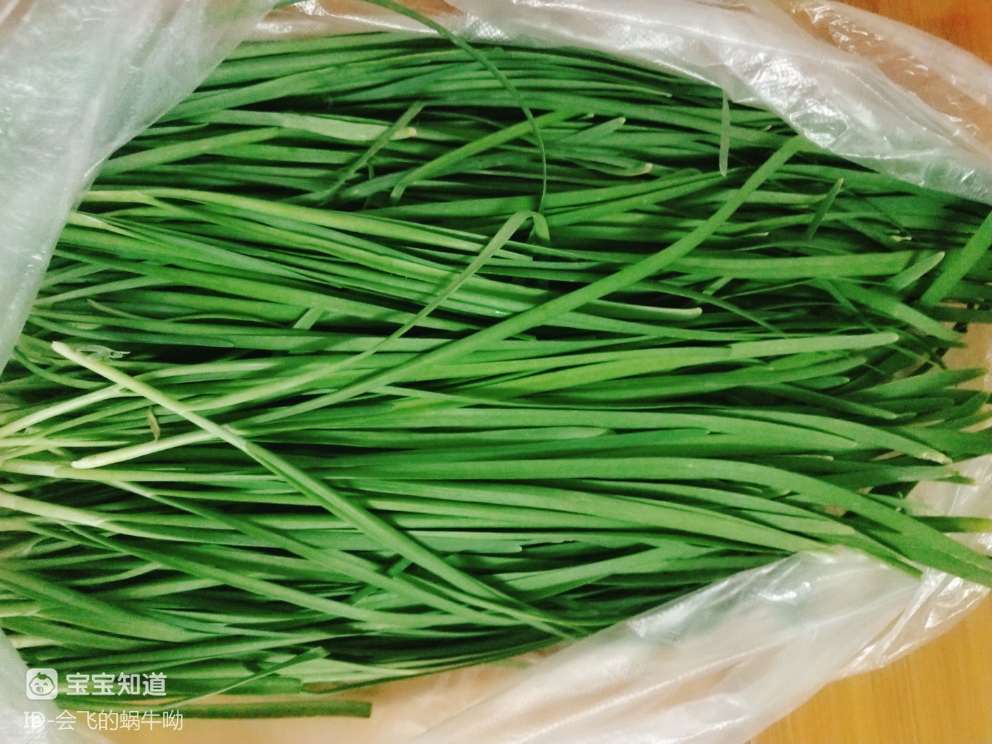 今日账单910买了韭菜黄瓜和鸡蛋