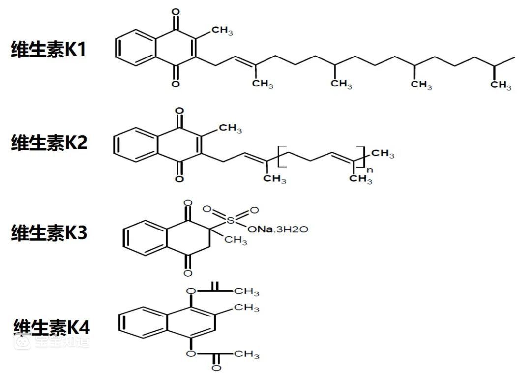 关于维生素k的六大误解与真相