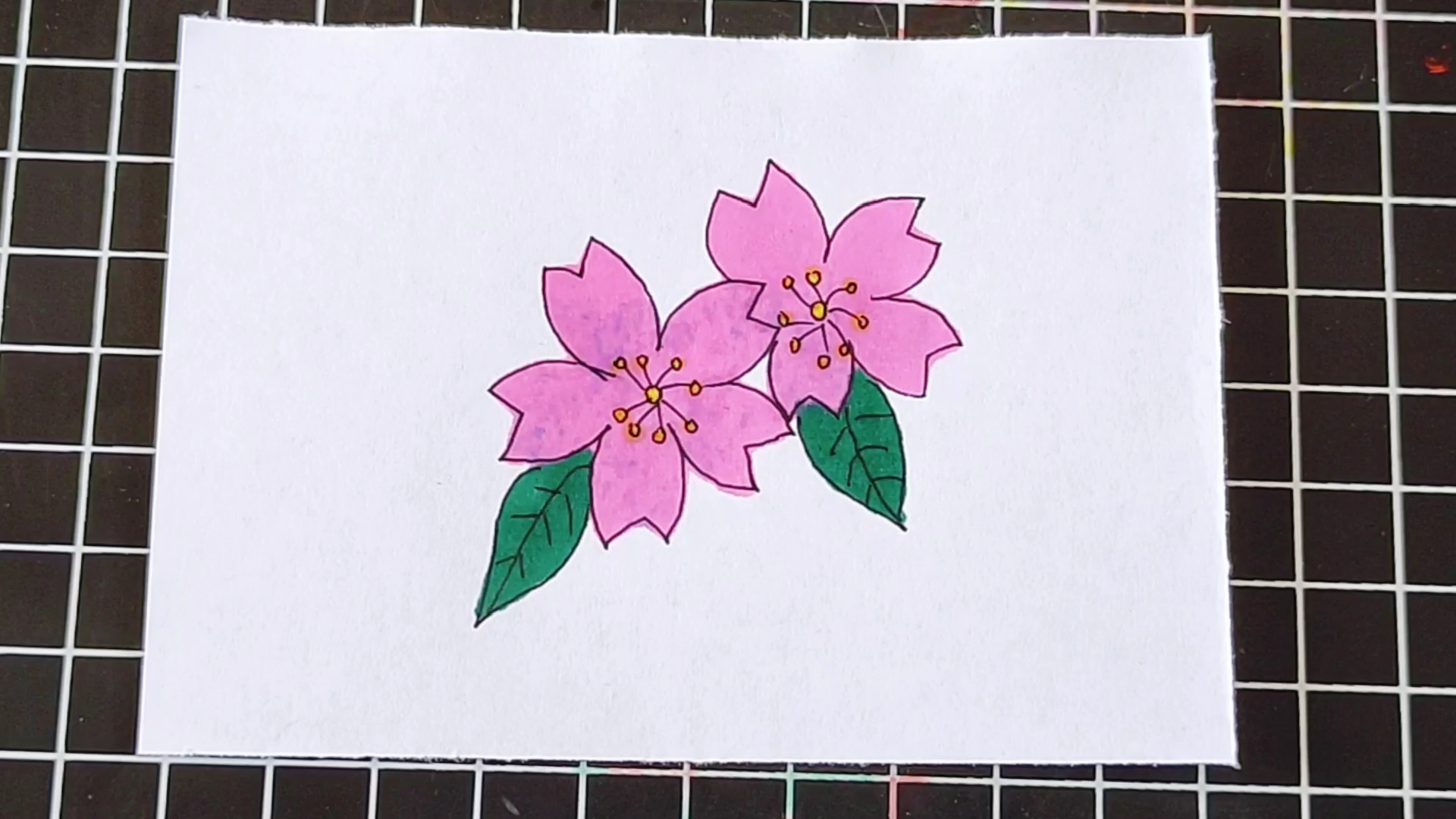 简笔画 漂亮的樱花怎么画