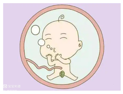 胎动有哪几种？ - 百度宝宝知道