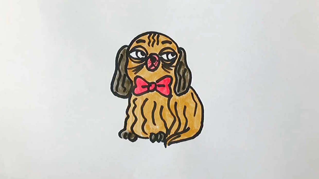 画一只呆萌的长毛狮子狗