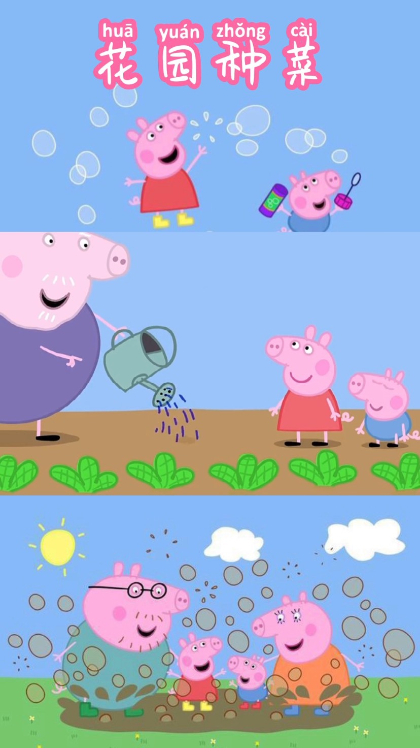 小猪佩奇:花园种菜