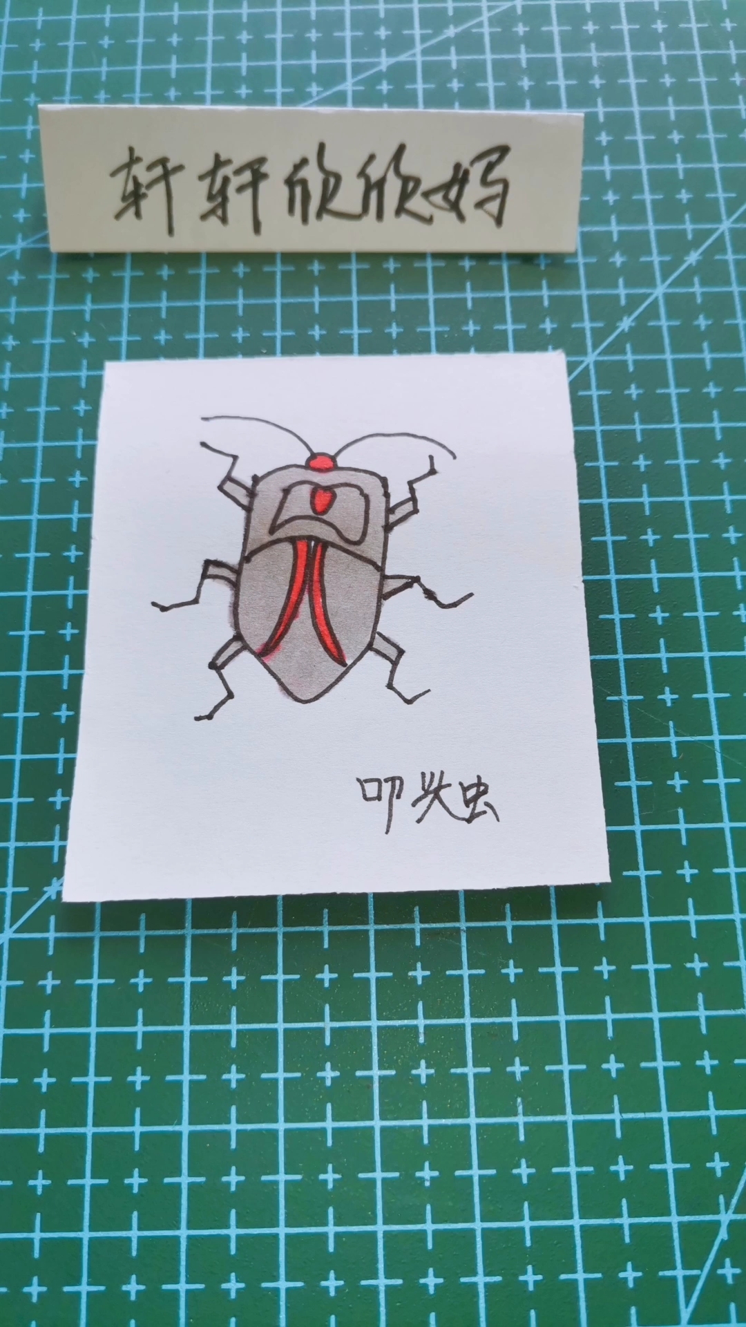 简笔画 叩头虫可以这样画