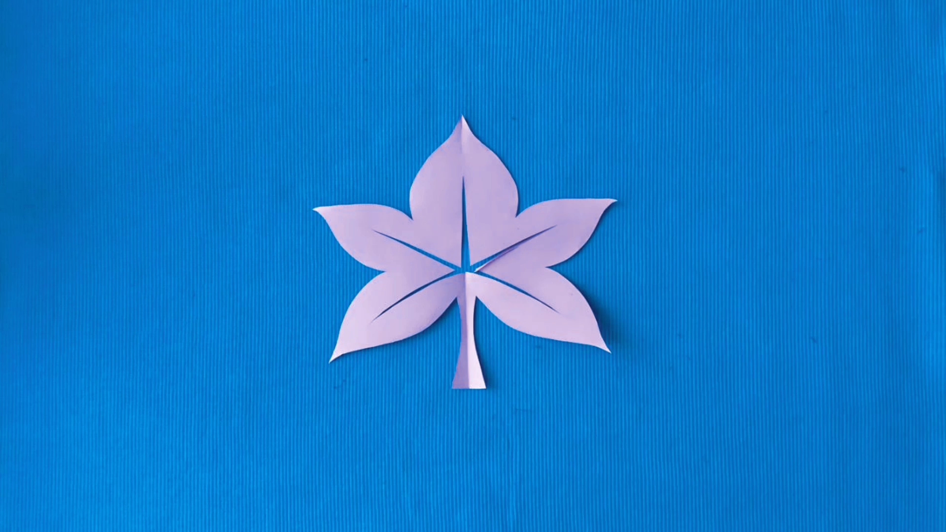 漂亮的枫叶剪纸