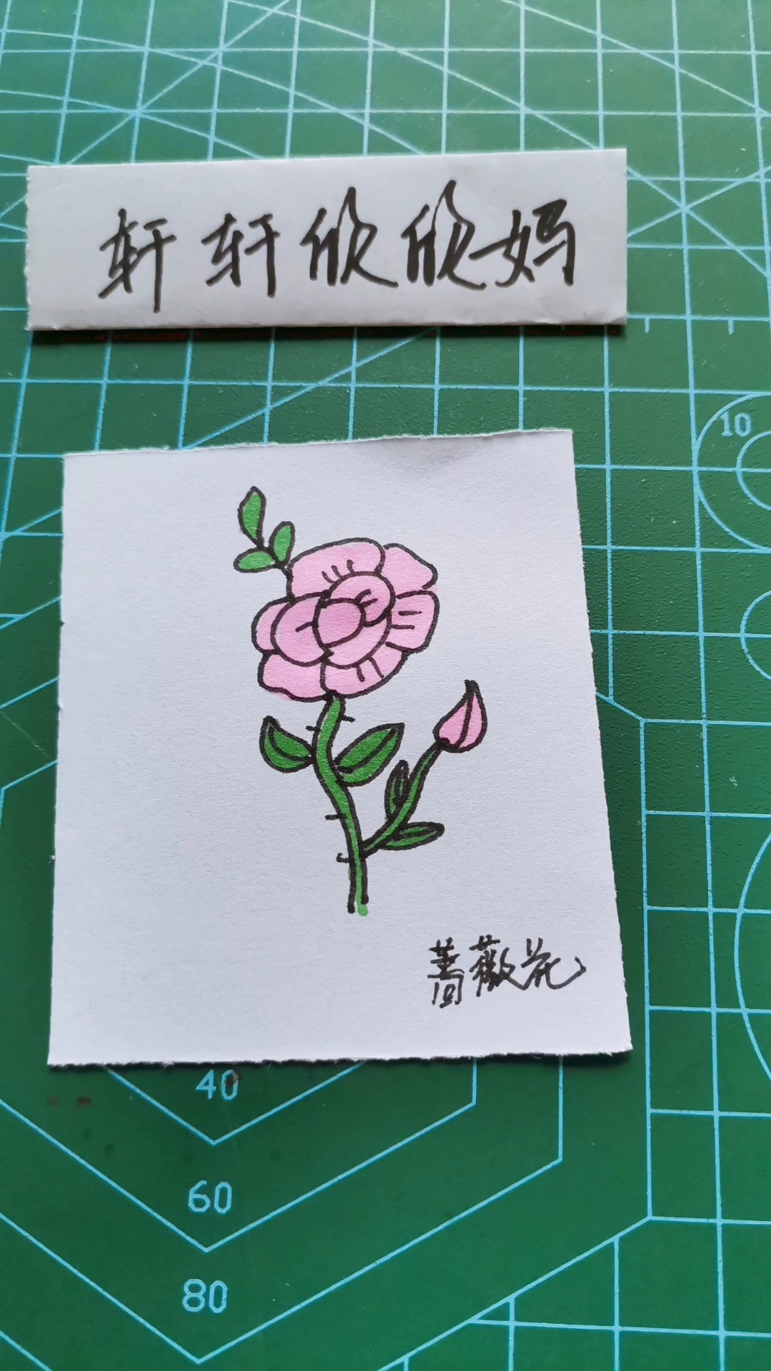 蔷薇花简笔画颜色图片
