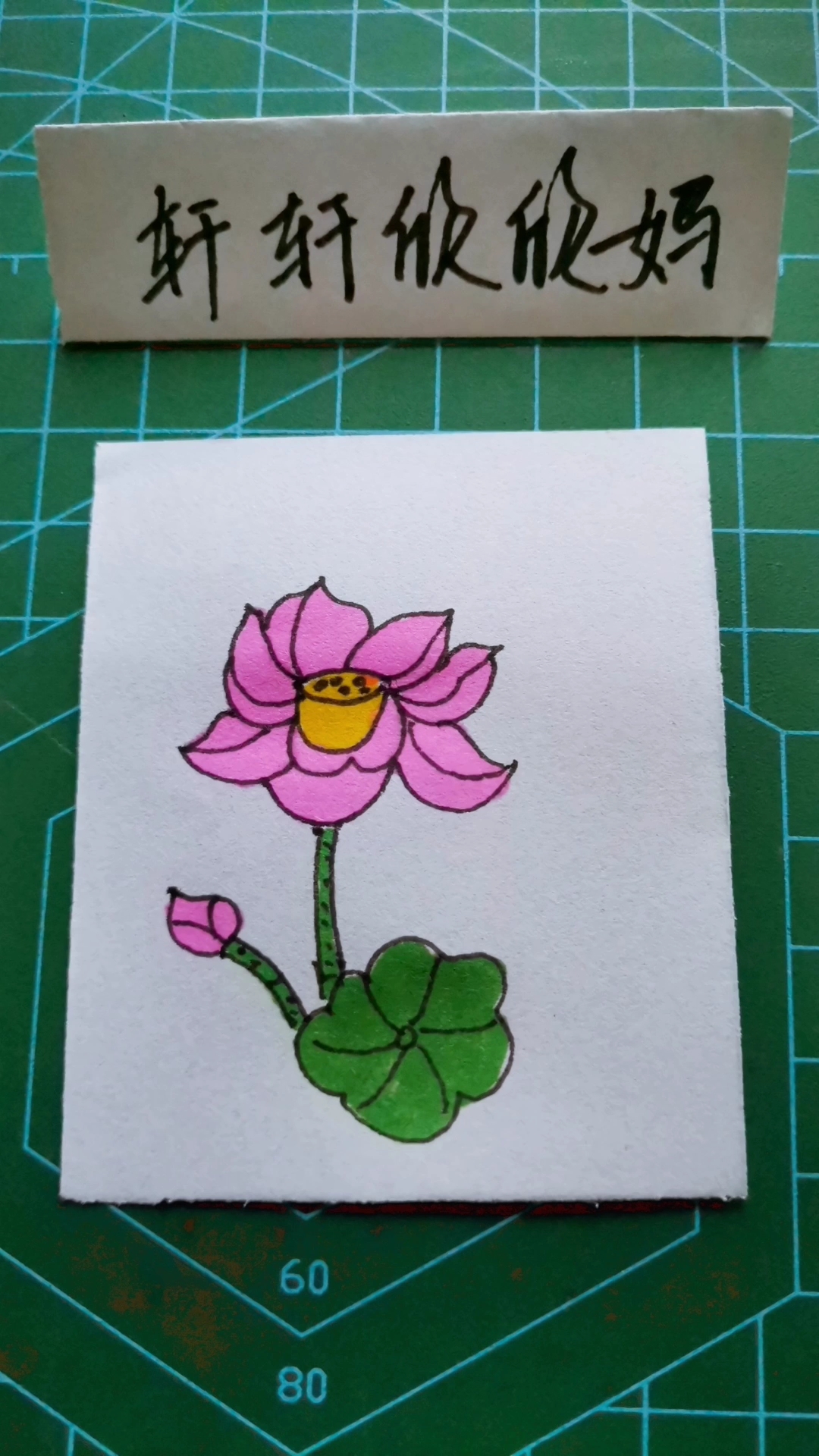 简笔画 出淤泥而不染的荷花