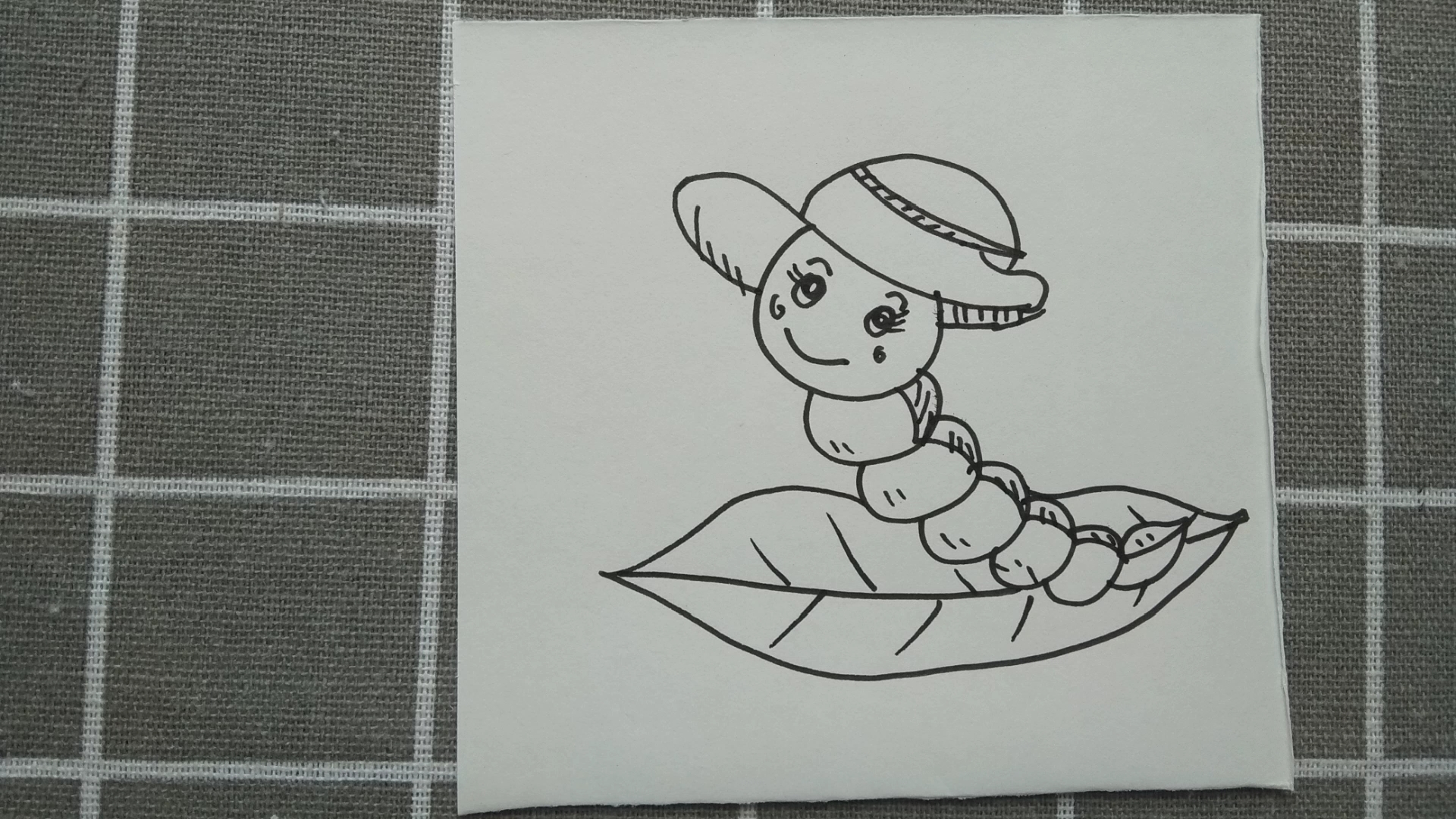 幼儿绘画:画一只叶子上的毛毛虫