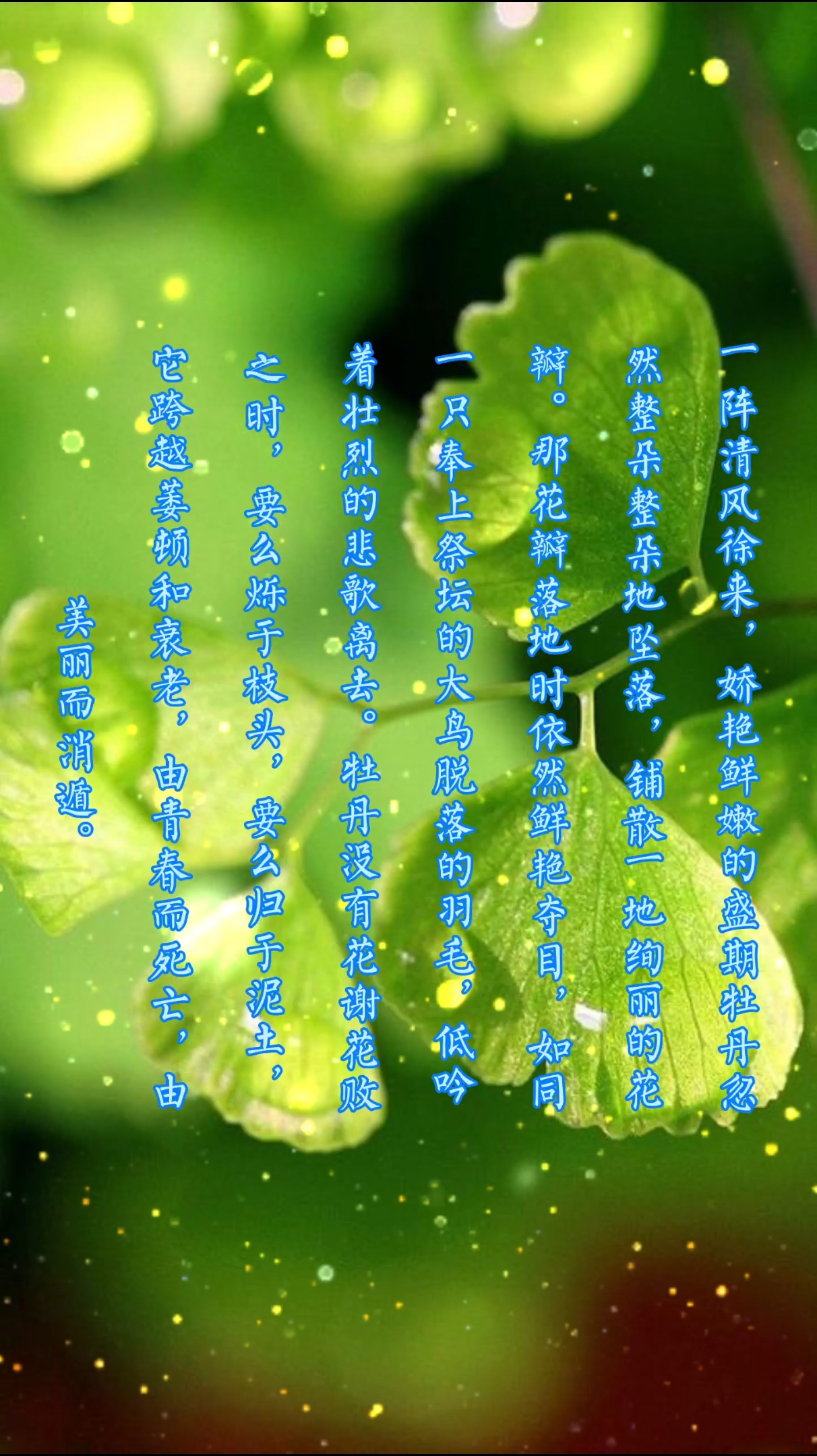 [点滴记录]一阵清风徐来,娇艳鲜嫩的盛期牡丹忽然整朵整朵地坠落,铺散