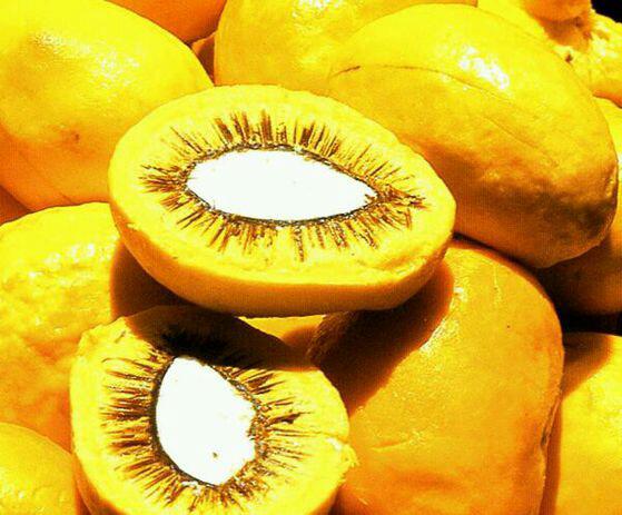 佩吉果,产于巴西,味道很重,有人爱吃,有人特别不喜欢