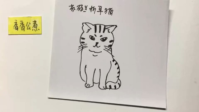 精 简笔画:一只苏格兰折耳猫