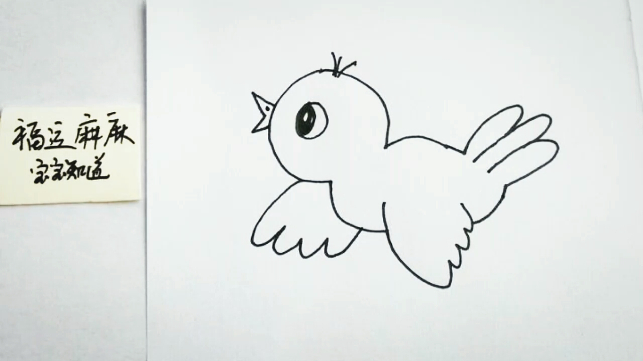 [画画秀]自由飞翔的小鸟