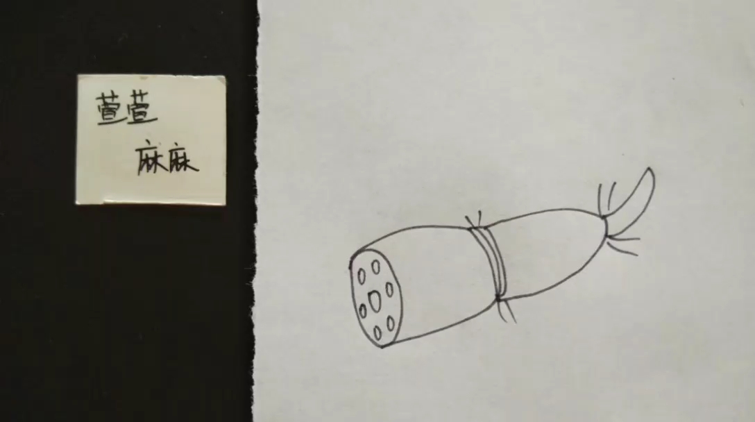 [简笔画]看到莲藕我就会想到一个成语"藕断丝连"