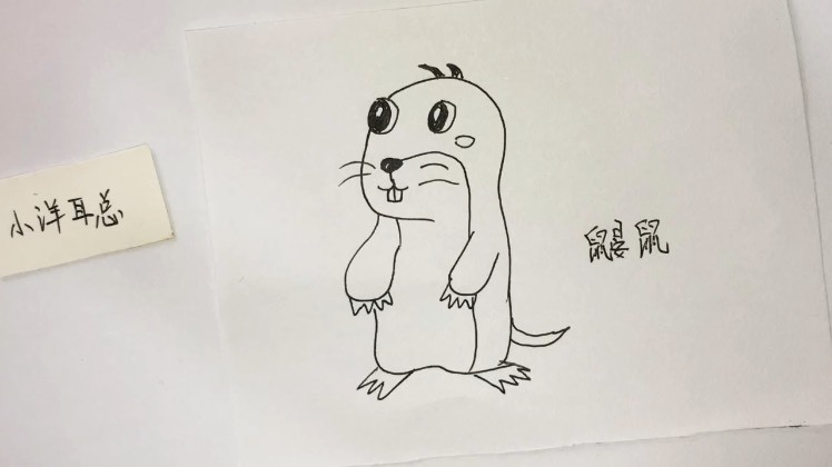 简笔画:一只呆呆的鼹鼠