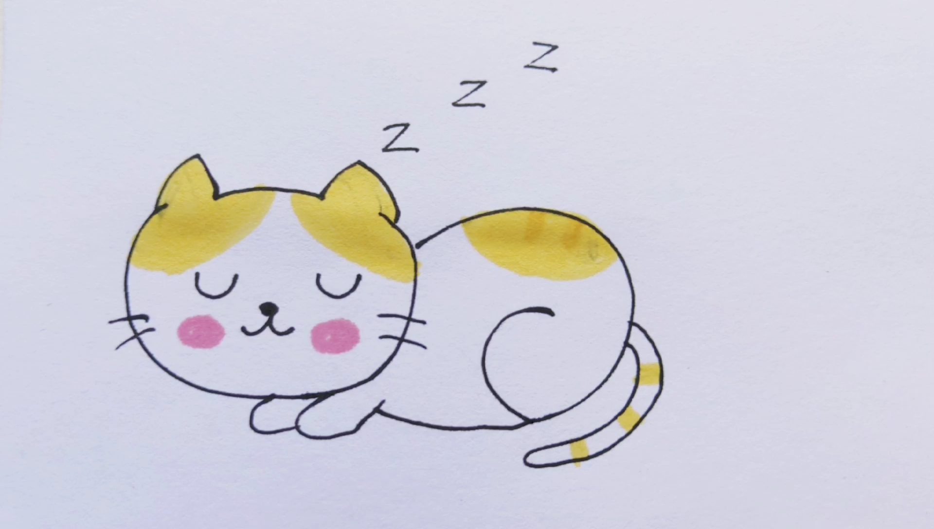 睡觉的小猫画画图片