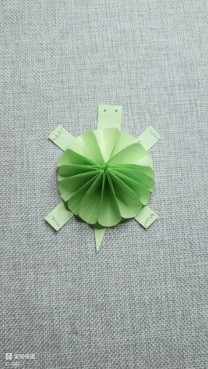 亲子手工:龟壳圆圆的小乌龟