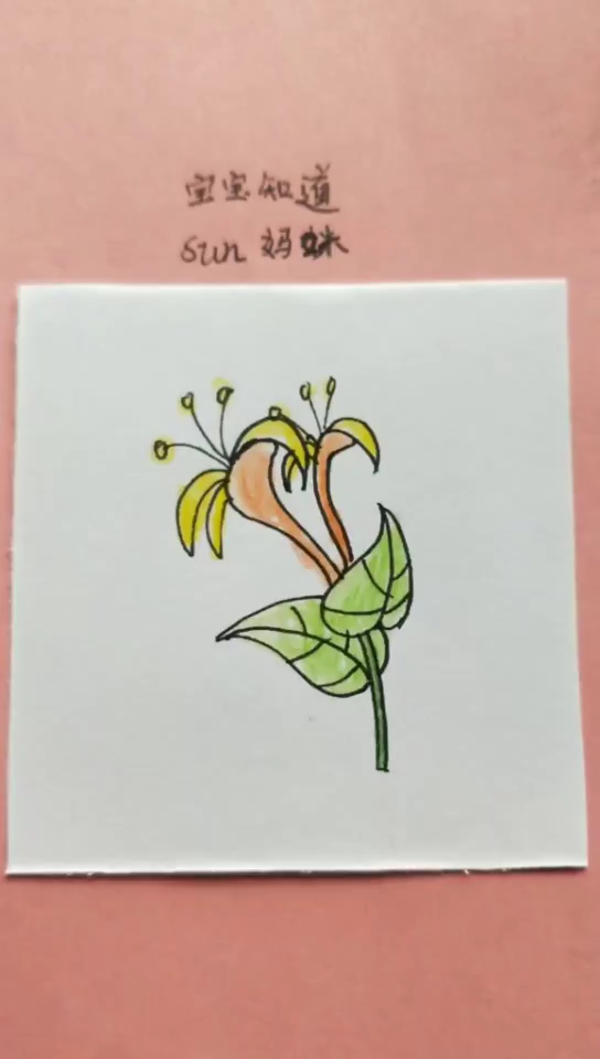 [画画秀]适合幼儿画的金银花(2)