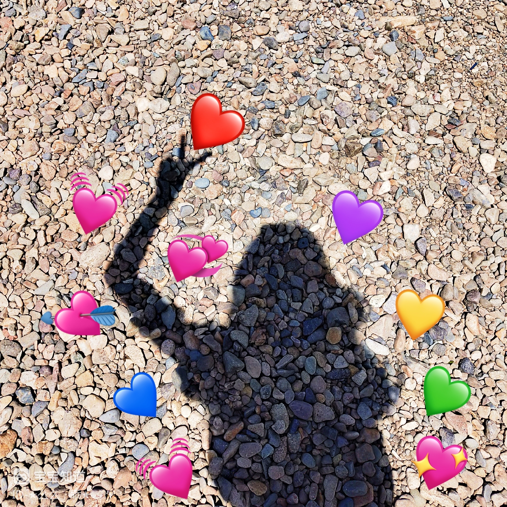 众所周知我是一个喜欢拍影子的人