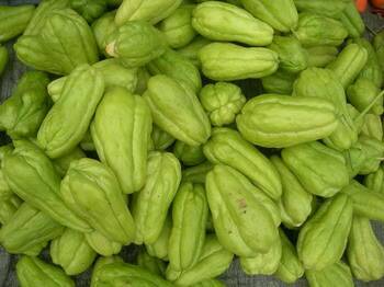 这是什么瓜,孕妇能吃吗