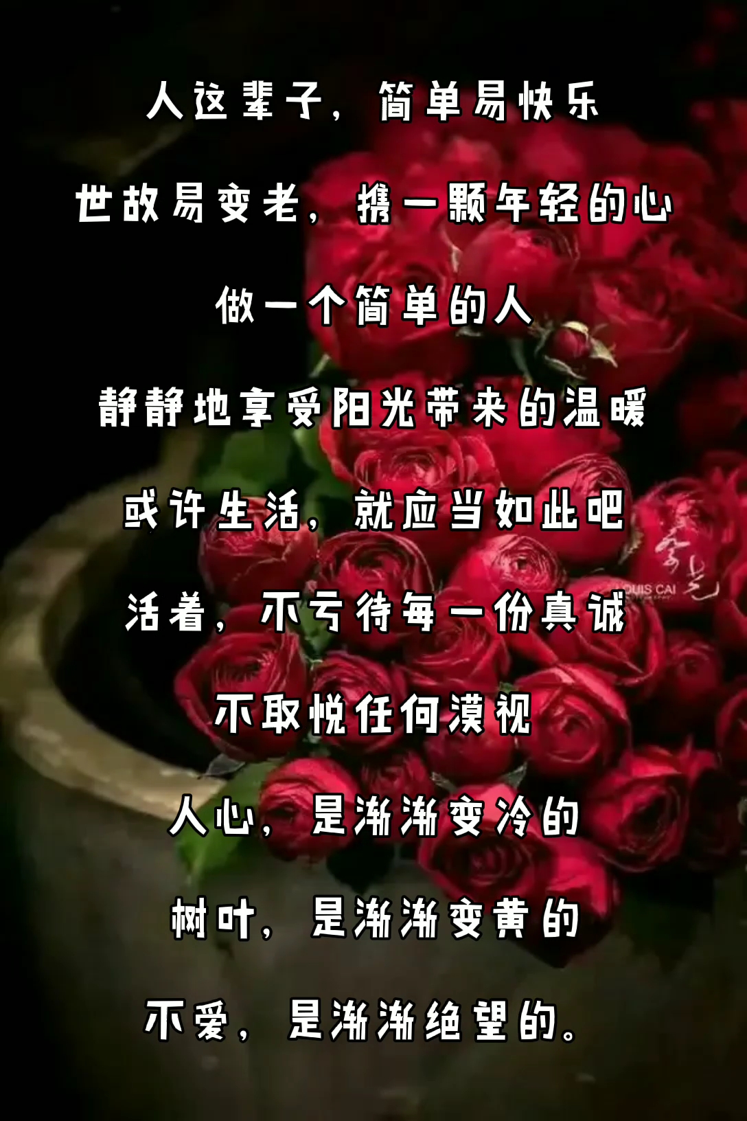 做一个简单的人,携一个年轻的心