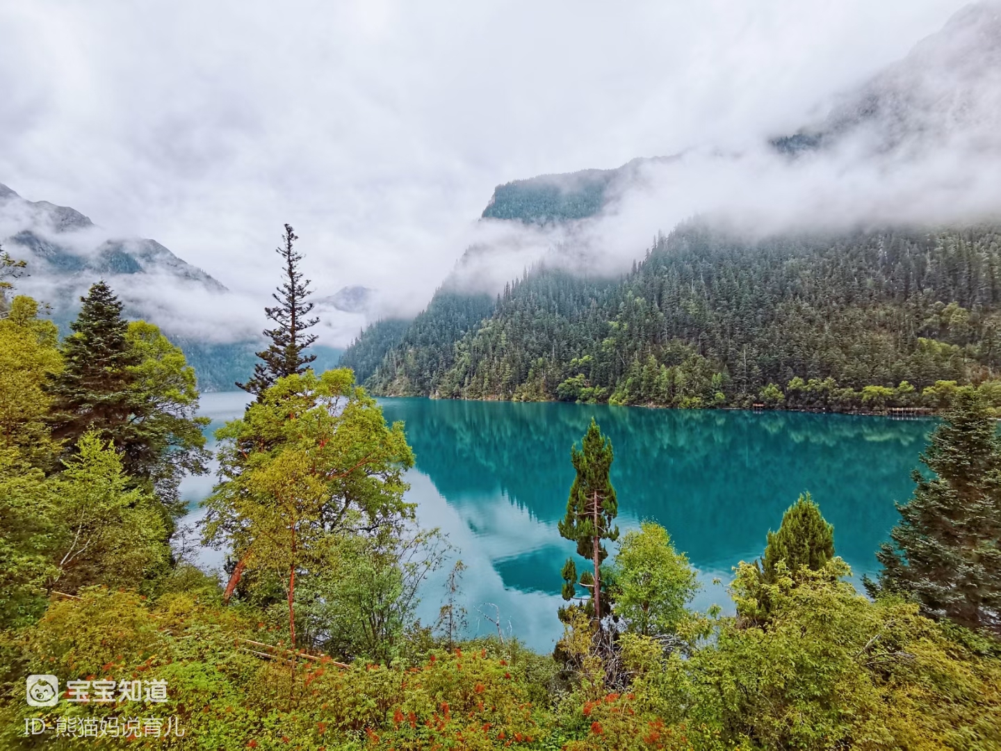 四川九寨沟真美瑶池本是在人间堪笑凡夫安学仙有路天堂通九寨此中仙境