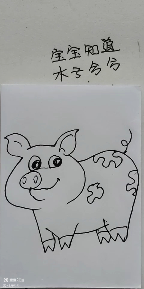 [画画秀]一只可爱的小花猪