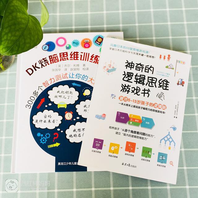 逻辑思维训练