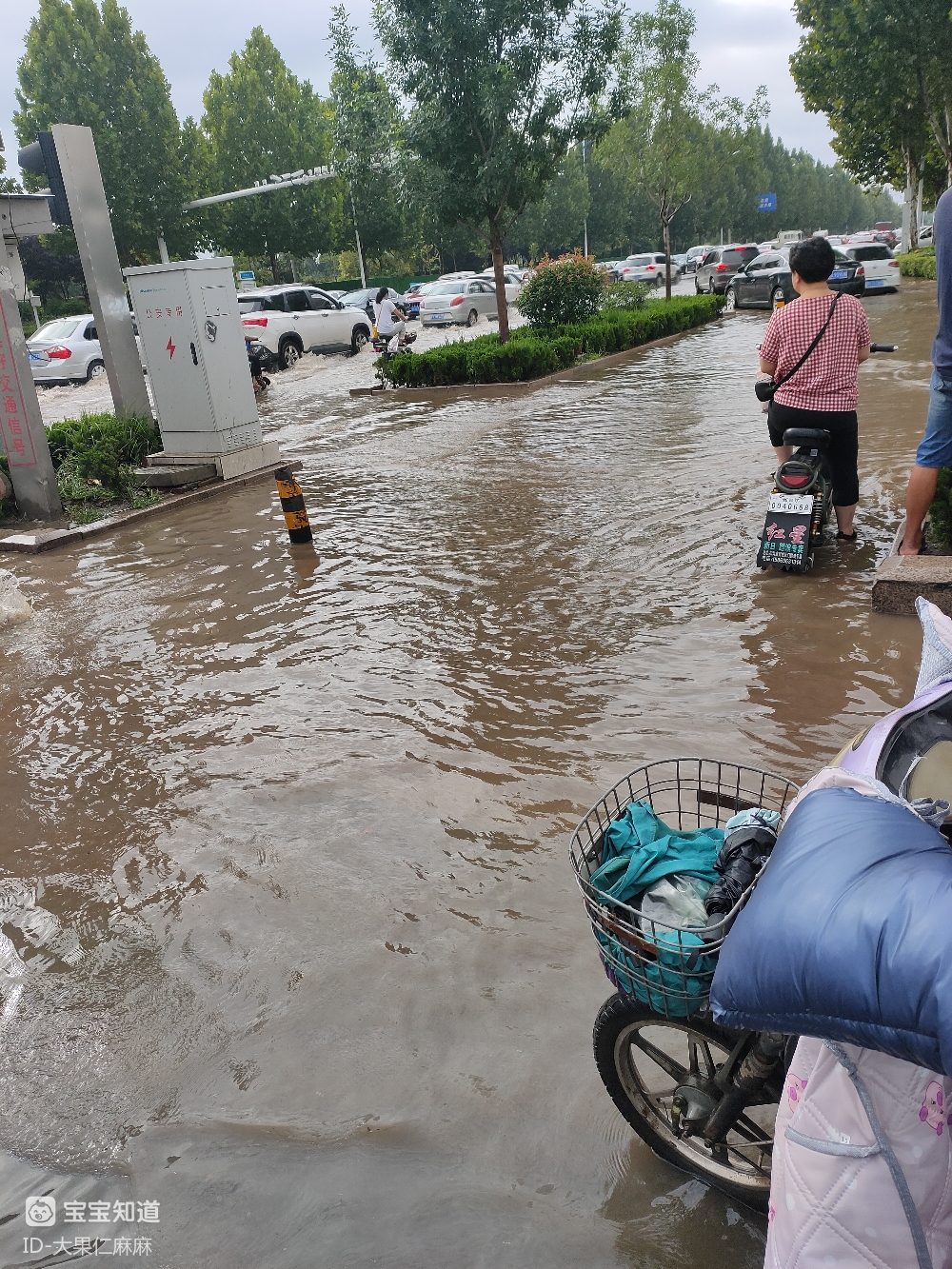 每日隨拍一夜大雨過後的城市報道