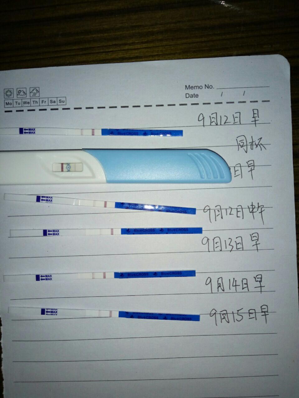 小夥伴們,孕5周的早孕試紙是什麼狀態呢?