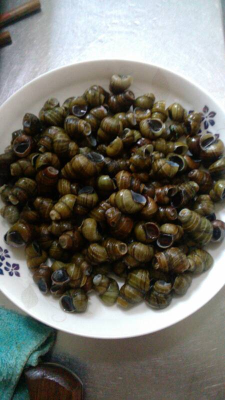 19 1楼 首先把螺丝泡在水里一天左右,倒几滴香油或是麻油,作用是让