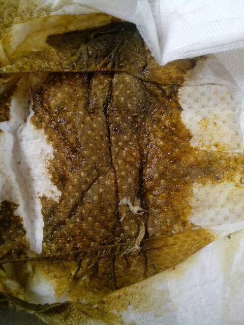 宝宝拉这种便便正常么?是不是属于黑色的呢