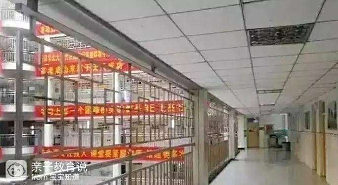 去美国生子怎么样_去美国生小孩子_为什么有的人要去美国生孩子
