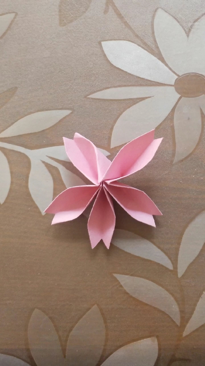 折纸杨桃花图片