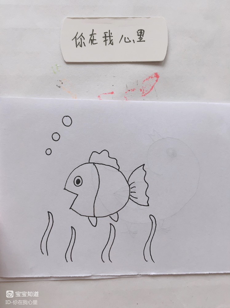 鱼儿水中游的简笔画图片